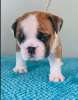 Click to see more info...