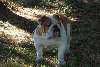 Personals in congerville illinois